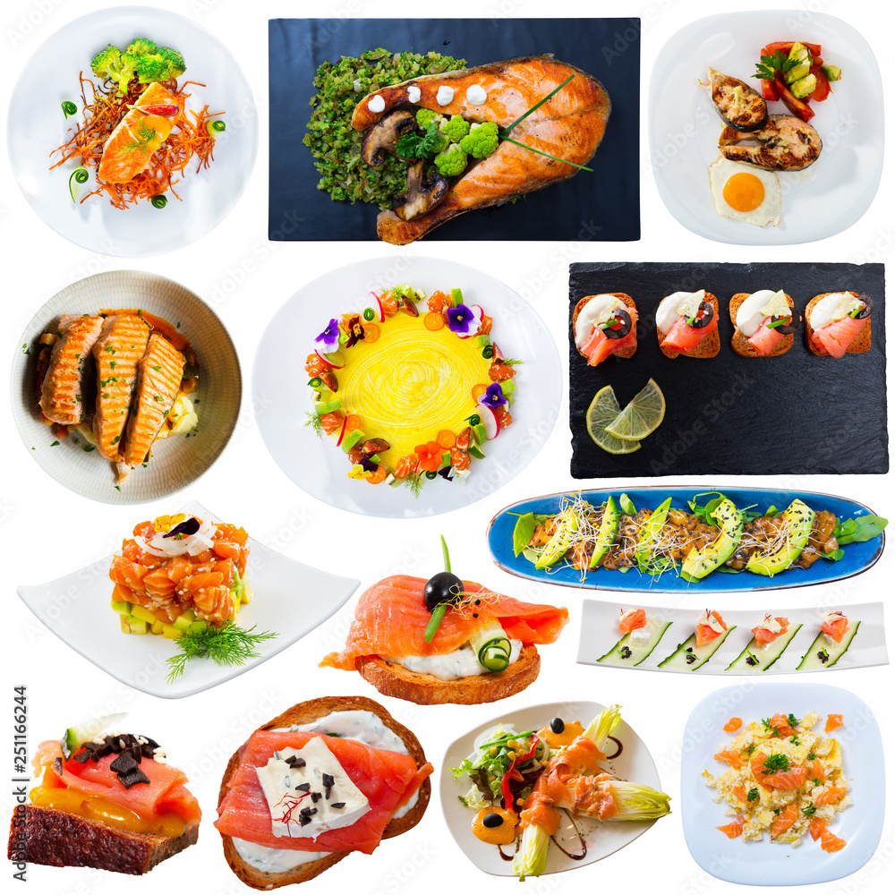 Assorted salmon dishes on a white background