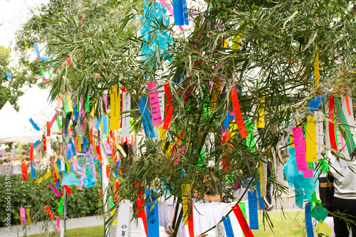 Travelers people join and writing wishes on paper and hang on bamboo tree in Tanabata or Star Japanese festival at Japan village photo
