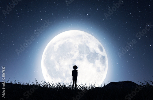 Fototapeta Naklejka Na Ścianę i Meble -   Girl walking to the moon in starry night,3d rendering