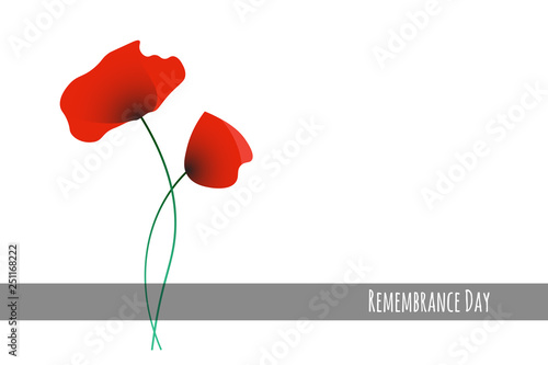Remembrance Day vector illustration with symbolic commemorative red poppy flowers
