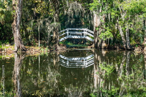 Bridge over Cypress Swamp photo