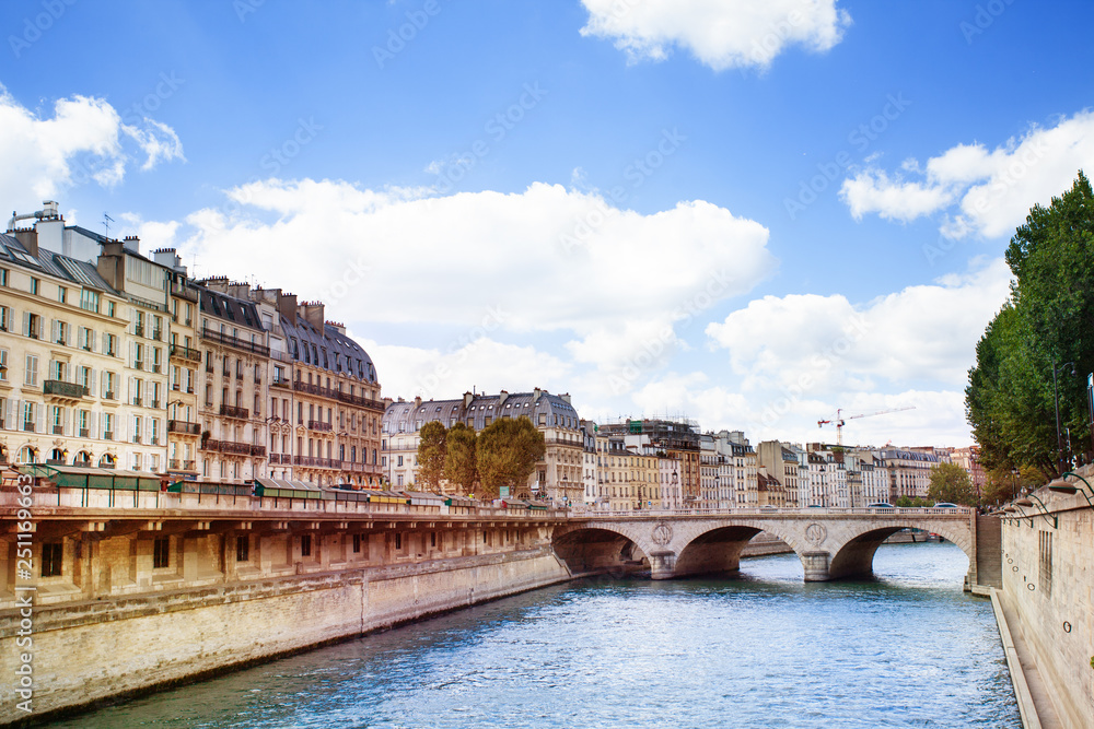 Bridge Pont Saint-Michel in Paris cite island