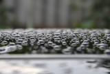 drops on the roof of the car