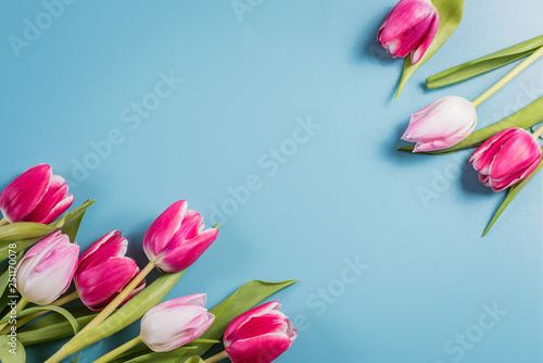 A bouquet of red and pink spring tulips on a colorful background
