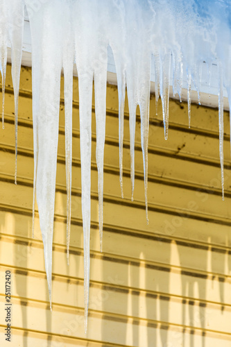 The icicles hanging from the rim of the roof. The spring background of melting ice and snow in the sunny day