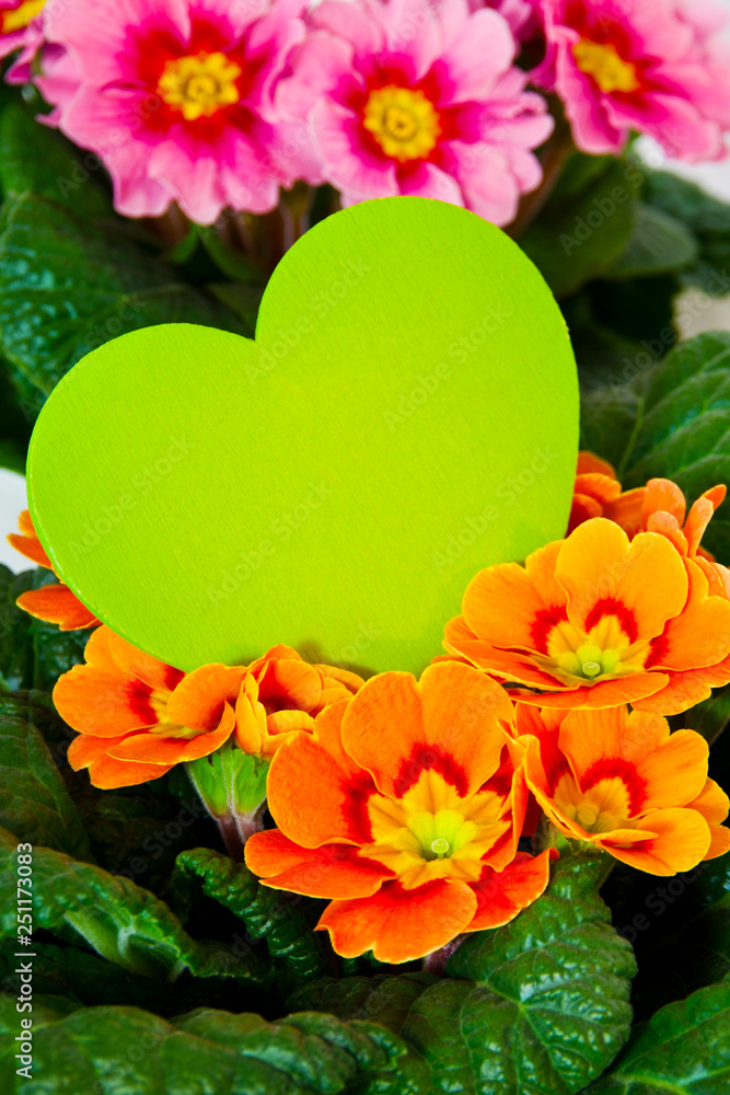 Springtime flowers and love heart background