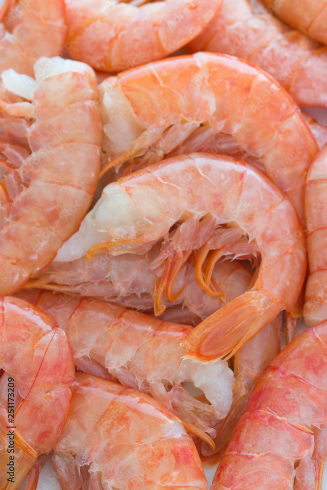 Boiled pink shrimps, prawns, langoustines, headless, close up Boiled pink shrimps, prawns, langoustines, headless, close up
