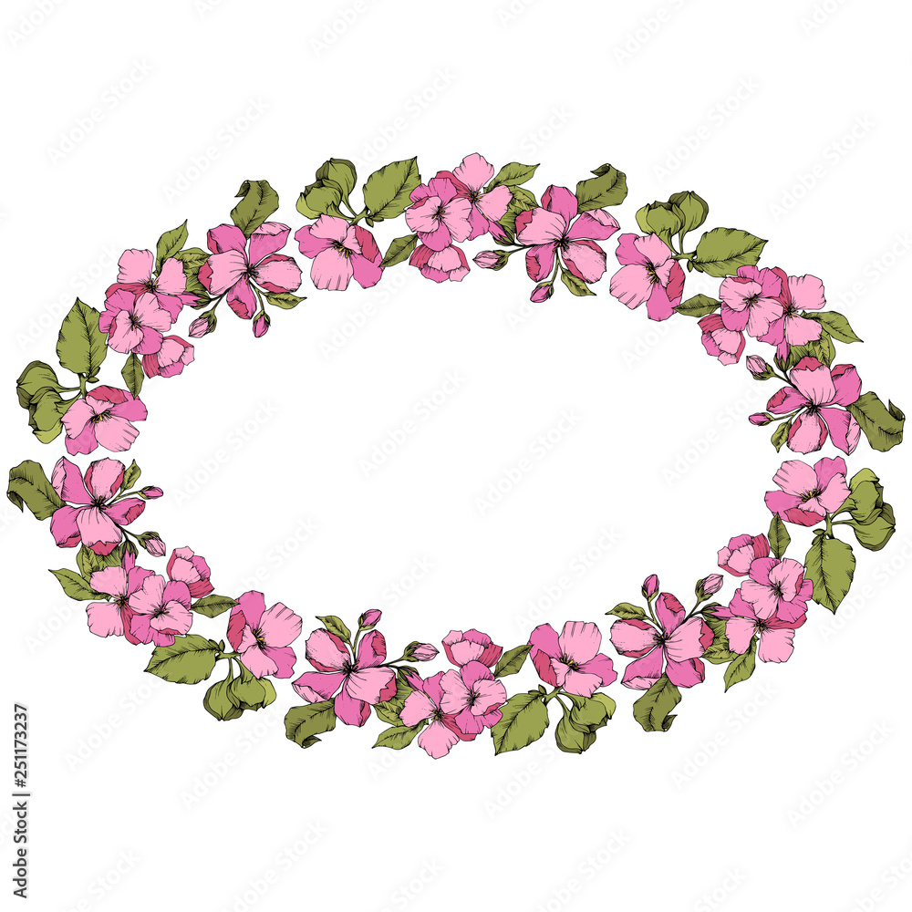 Vector Pink Apple blossom floral botanical flower. Engraved ink art. Frame border ornament square on white background. Vector Pink Apple blossom floral botanical flower. Engraved ink art. Frame border ornament square on white background.
