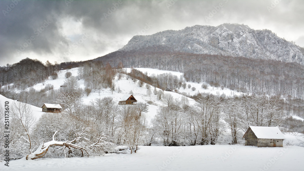 Fototapeta premium Did you mean: Iarna în Munţii Apuseni - Transilvania, Romania 47/5000 Winter in Apuseni Mountains - Transylvania, Romania Send feedback History Saved Community