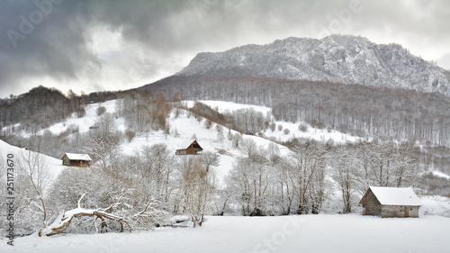 Wallpaper Mural   Did you mean: Iarna în Munţii Apuseni - Transilvania, Romania 47/5000 Winter in Apuseni Mountains - Transylvania, Romania Send feedback History Saved Community Torontodigital.ca