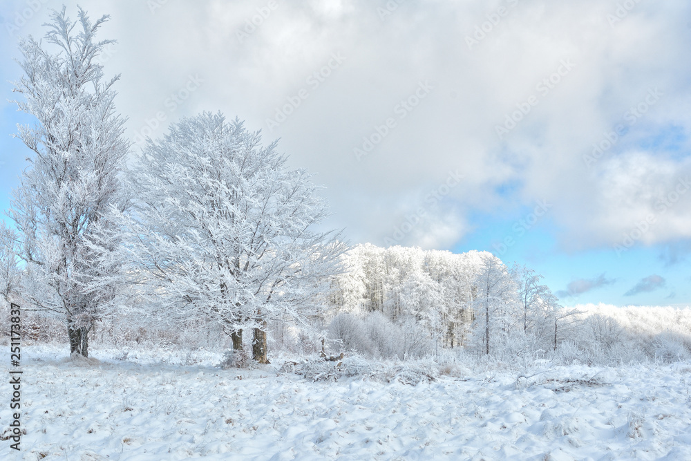 Obraz premium Did you mean: Iarna în Munţii Apuseni - Transilvania, Romania 47/5000 Winter in Apuseni Mountains - Transylvania, Romania Send feedback History Saved Community