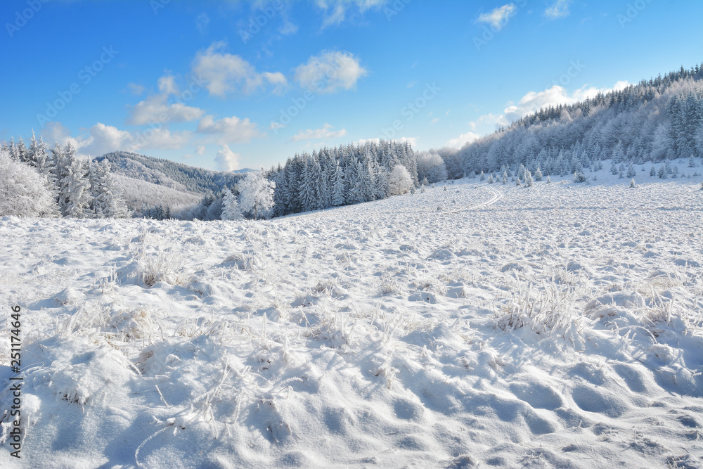 Obraz premium Did you mean: Iarna în Munţii Apuseni - Transilvania, Romania 47/5000 Winter in Apuseni Mountains - Transylvania, Romania Send feedback History Saved Community
