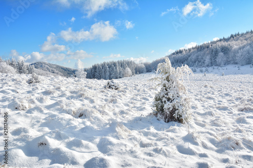  Did you mean: Iarna în Munţii Apuseni - Transilvania, Romania 47/5000 Winter in Apuseni Mountains - Transylvania, Romania Send feedback History Saved Community