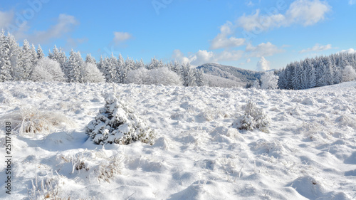 Wallpaper Mural   Did you mean: Iarna în Munţii Apuseni - Transilvania, Romania 47/5000 Winter in Apuseni Mountains - Transylvania, Romania Send feedback History Saved Community Torontodigital.ca