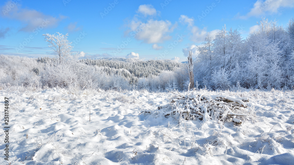 Did you mean: Iarna în Munţii Apuseni - Transilvania, Romania 47/5000 Winter in Apuseni Mountains - Transylvania, Romania Send feedback History Saved Community Did you mean: Iarna în Munţii Apuseni - Transilvania, Romania 47/5000 Winter in Apuseni Mountains - Transylvania, Romania Send feedback History Saved Community