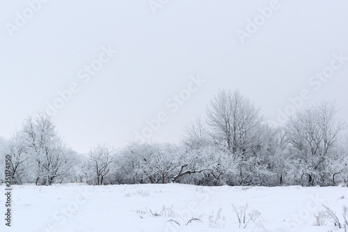 Winter landscape. Winter weather snow is on the ground. © Oleksandr Masnyi