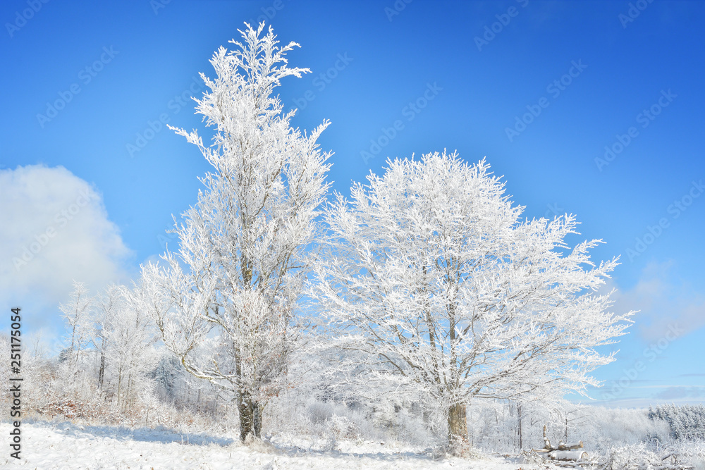 Did you mean: Iarna în Munţii Apuseni - Transilvania, Romania 47/5000 Winter in Apuseni Mountains - Transylvania, Romania Send feedback History Saved Community Did you mean: Iarna în Munţii Apuseni - Transilvania, Romania 47/5000 Winter in Apuseni Mountains - Transylvania, Romania Send feedback History Saved Community