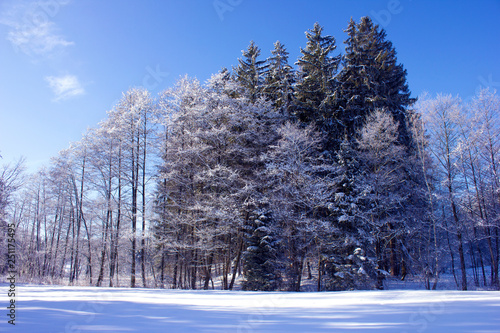 Winter landscapes