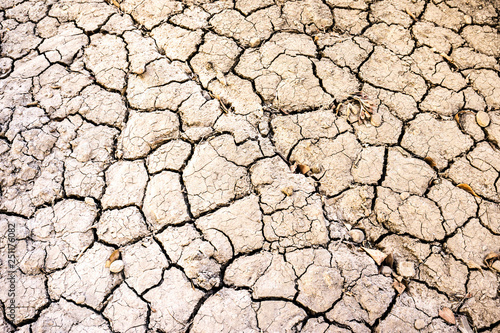 Dry land texture. Dry cracked land surface. Drought land. Drought earth background.