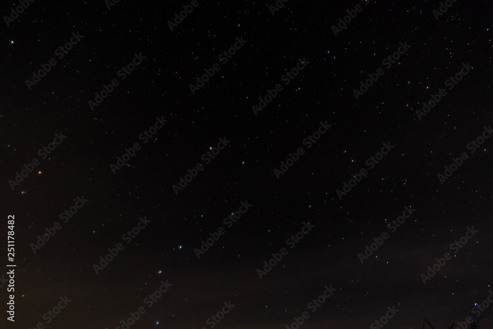 Obraz premium Starry sky.The dark background is covered by stars.