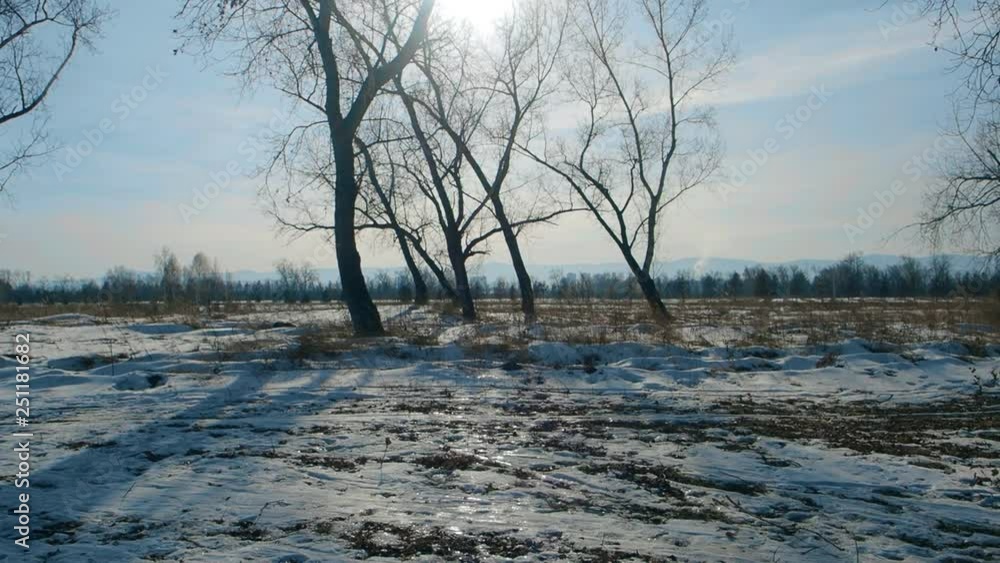 Winter panorama of a park at sunny day Winter panorama of a park at sunny day