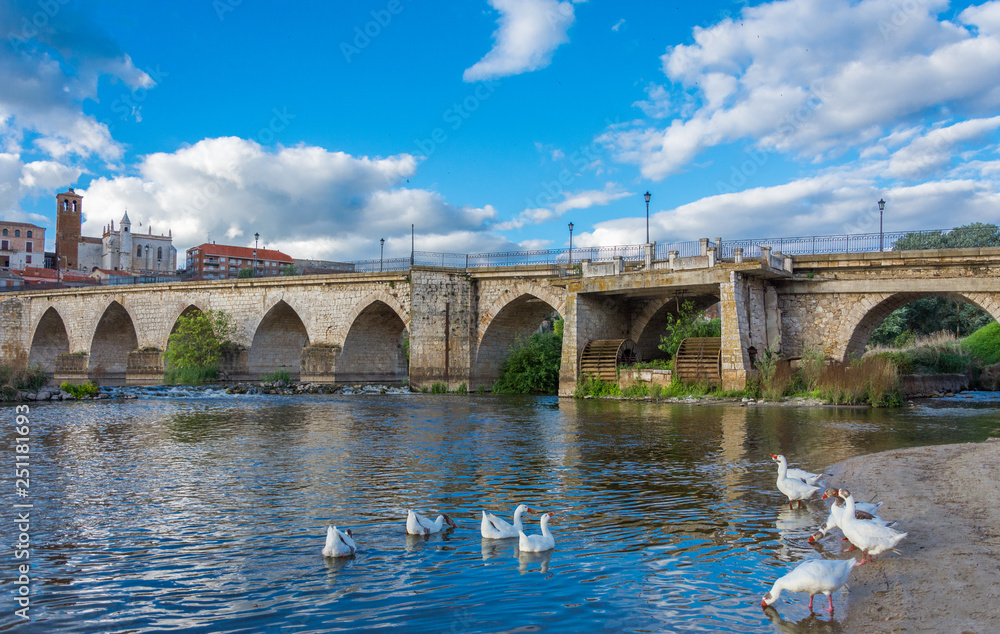 Fototapeta premium rio y puente medieval con patos