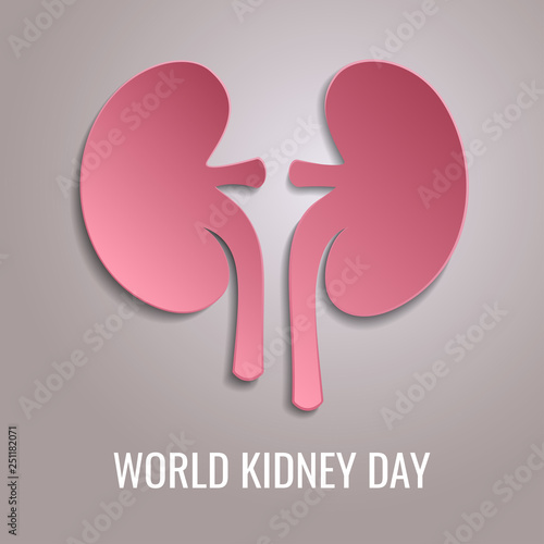 Festive concept for the World Kidney Day. Poster or background in a paper art  style.