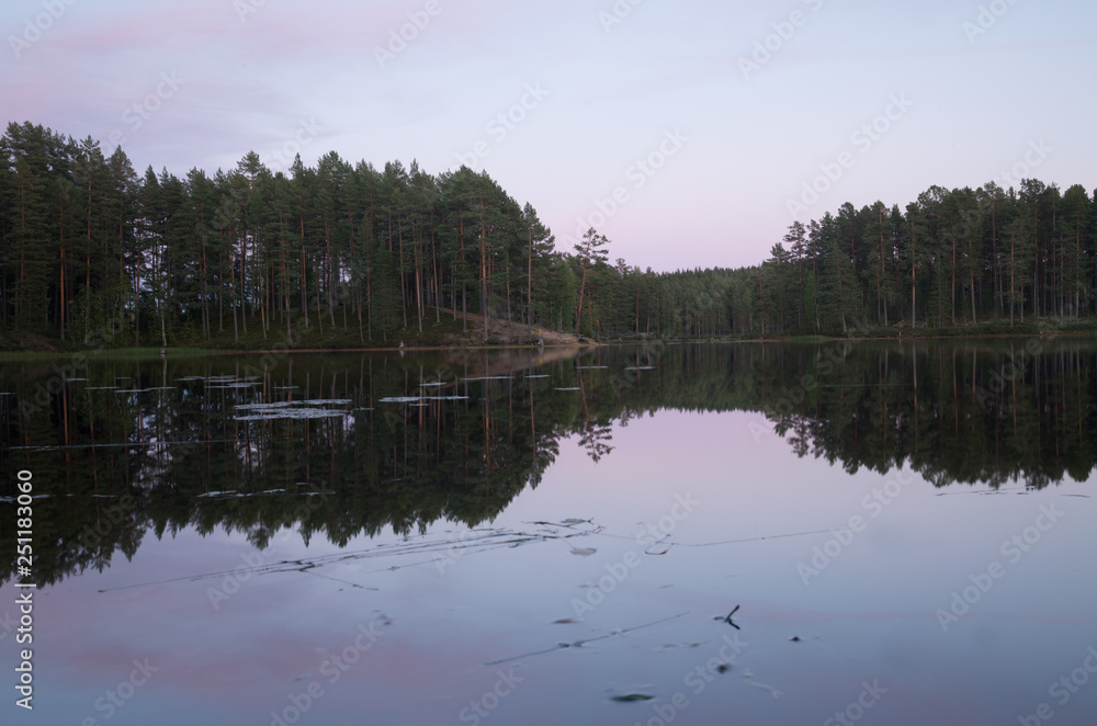 Fototapeta premium Calm lake in nature reserve in sweden