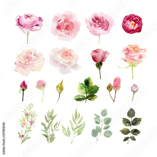 A collection of hand painted watercolor flowers roses
