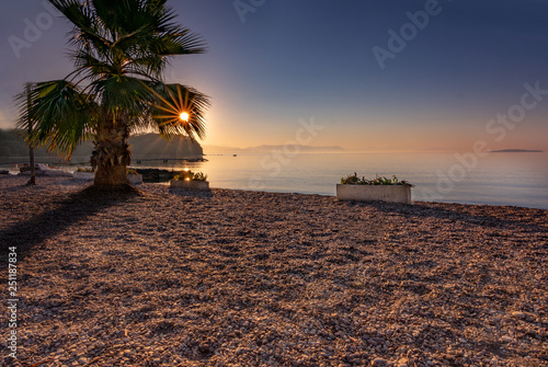 Sonnenaufgang am Strand mit Palme © Christian