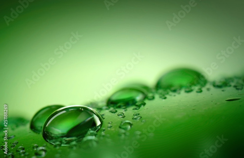 Macro water droplets on a green.