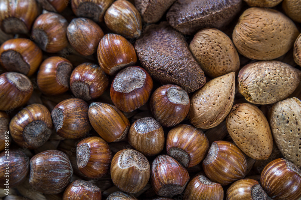 Assorted nut selection of whole organic shelled walnuts, almonds, hazelnuts and brazil nuts Assorted nut selection of whole organic shelled walnuts, almonds, hazelnuts and brazil nuts