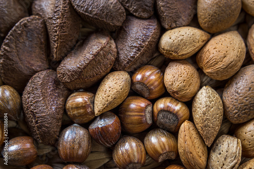 Assorted nut selection of whole organic shelled walnuts, almonds, hazelnuts and brazil nuts
