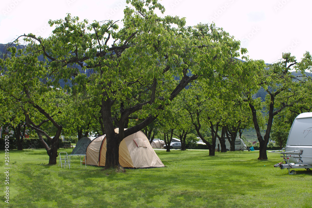 Fototapeta premium Lofthus camping