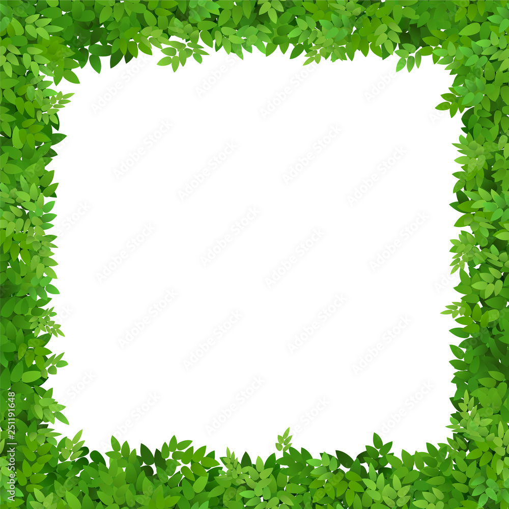 Square frame of leaves with white space. Blank for advertising card or invitation. Square frame of leaves with white space. Blank for advertising card or invitation.