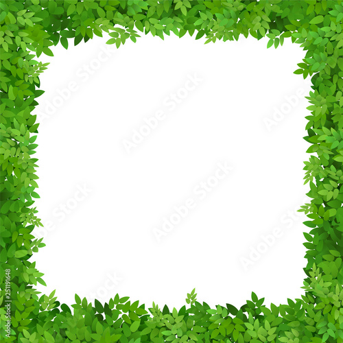 Square frame of leaves with white space. Blank for advertising card or invitation.