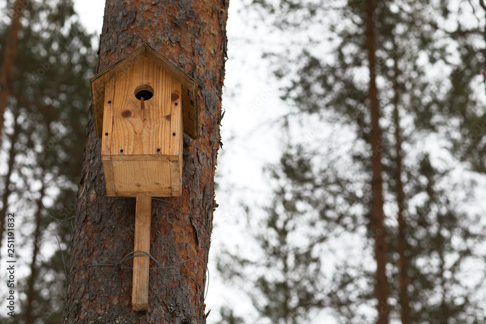 Birdhouse on a pine tree in wild forest. Birdhouse on a pine tree in wild forest.