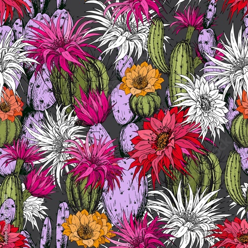 Seamless pattern with cactus flowers. Hand drawn vector on dark background.