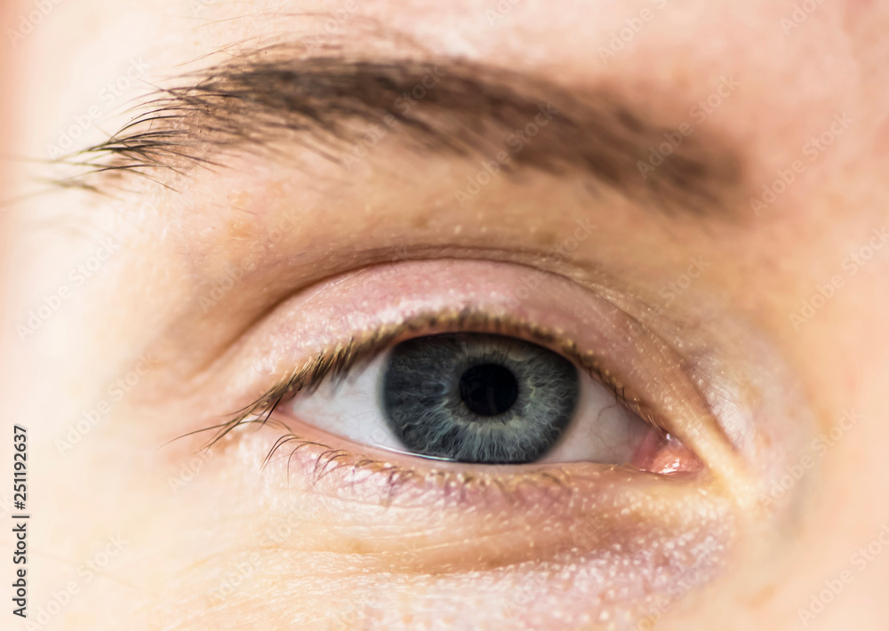 Fototapeta premium blue eye pupil closeup on white background