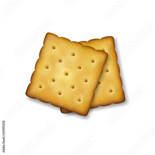 Realistic Vector 3d Square Delicious Salty Cookies Rustic, Cracker, Biscuit Set Closeup Isolated on Transparent Background. Design Template of Sweet Cookie, Yummy Crackers, Breakfast Snack