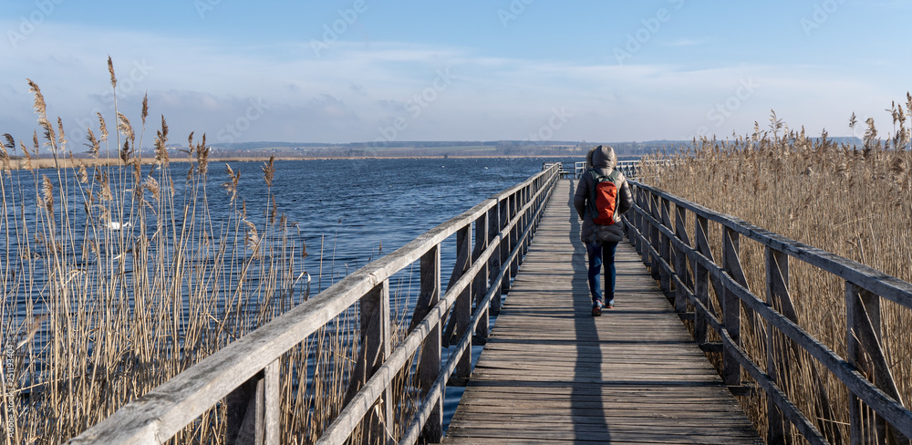 Federseesteg Bad Buchau Stock-Foto | Adobe Stock