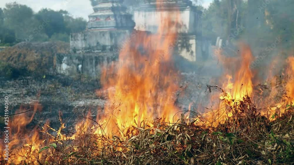 Burning off dry grass and land to revitalize pastures around Buddhist temple rising as backdrop Burning off dry grass and land to revitalize pastures around Buddhist temple rising as backdrop