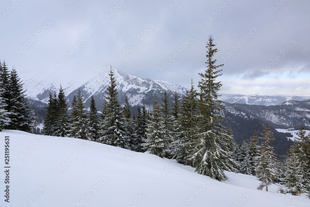 The Tatras Mountains in winter