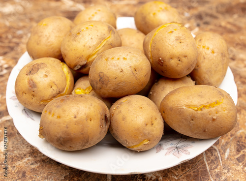 Boiled potatoes in a plate on the table