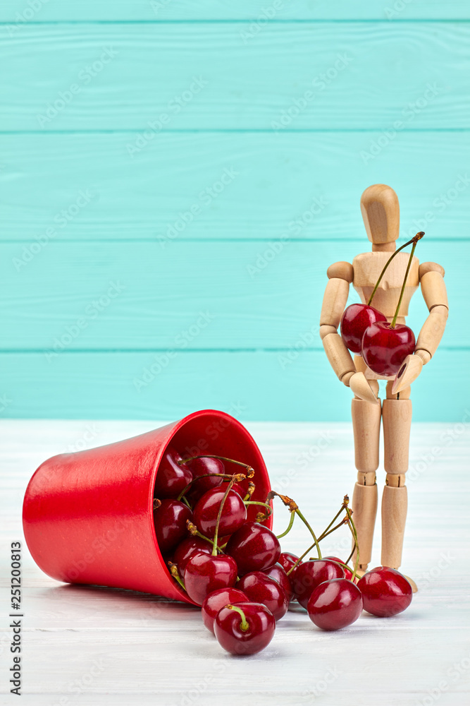 Red small bucket with ripe cherries. Fresh delicious cherries and human wooden dummy. Diet with cherries.