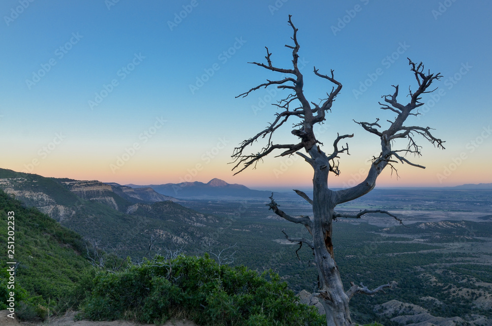 Cortez and Ute Peak morning view from Montezuma Valley Overlook in Mesa Verde National Park (Colorado) Cortez and Ute Peak morning view from Montezuma Valley Overlook in Mesa Verde National Park (Colorado)