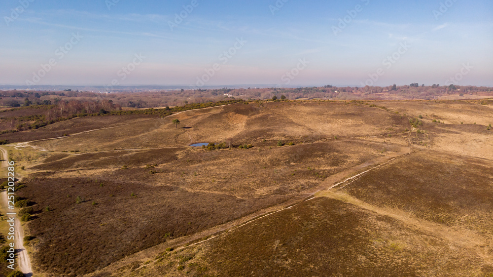 Aerial view of the New Forest National Park with heathland and forest trails under a majestic blue sky