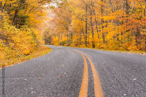 Autum along the Blue Ridge Parkway