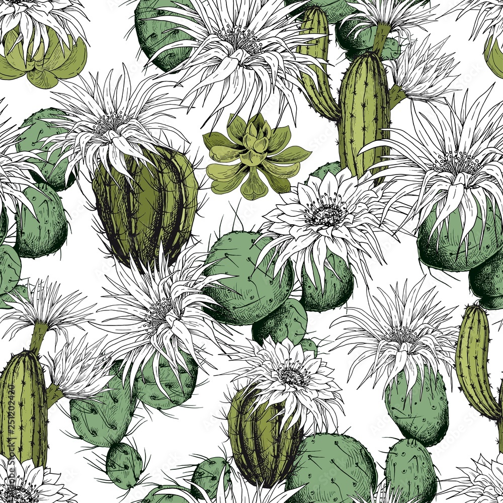 Seamless pattern with green cactus and white flowers. Hand drawn vector ...