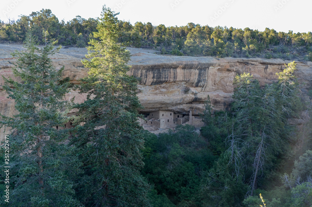Spruce Tree House hidden in Spruce Canyon on Chapin Mesa in Mesa Verde National Park (Colorado, USA)